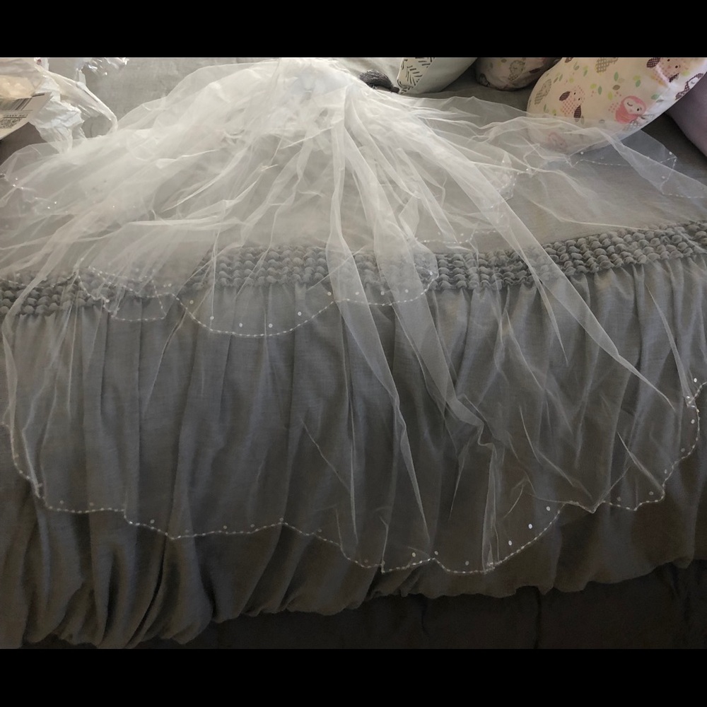 Ivory Jeweled Veil